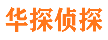 萨迦市侦探